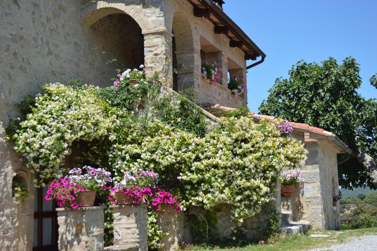 Bellavista Βίλα Seggiano Εξωτερικό φωτογραφία