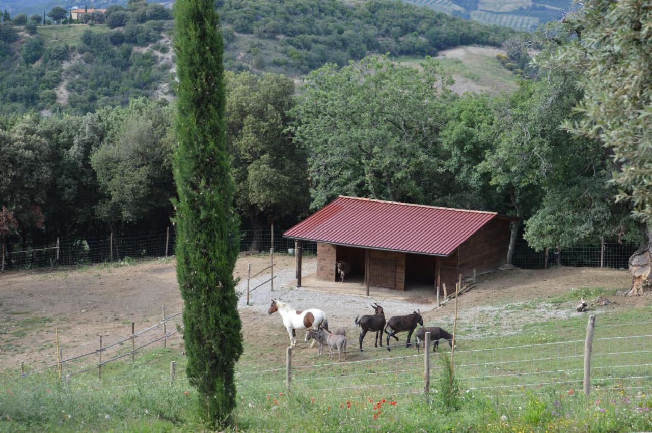 Bellavista Βίλα Seggiano Εξωτερικό φωτογραφία