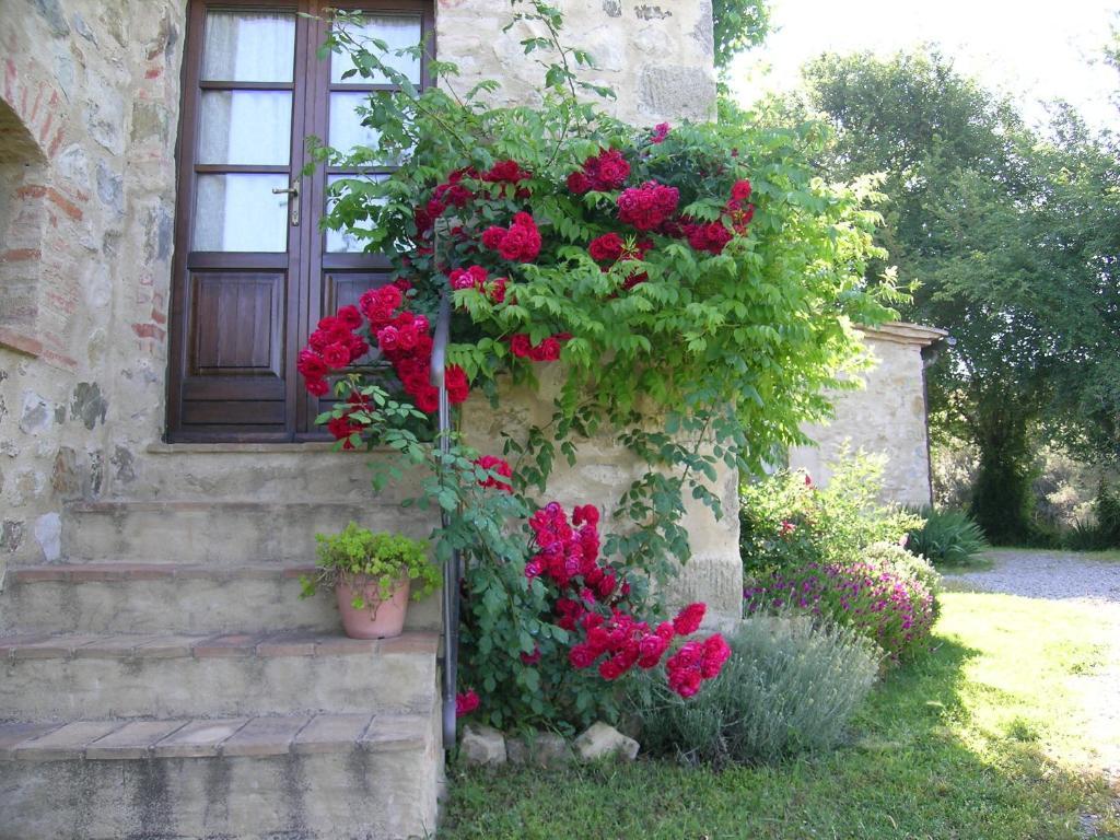 Bellavista Βίλα Seggiano Εξωτερικό φωτογραφία
