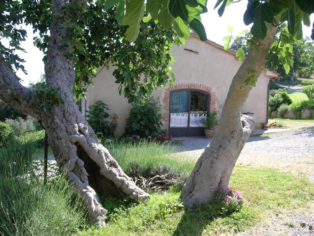 Bellavista Βίλα Seggiano Εξωτερικό φωτογραφία