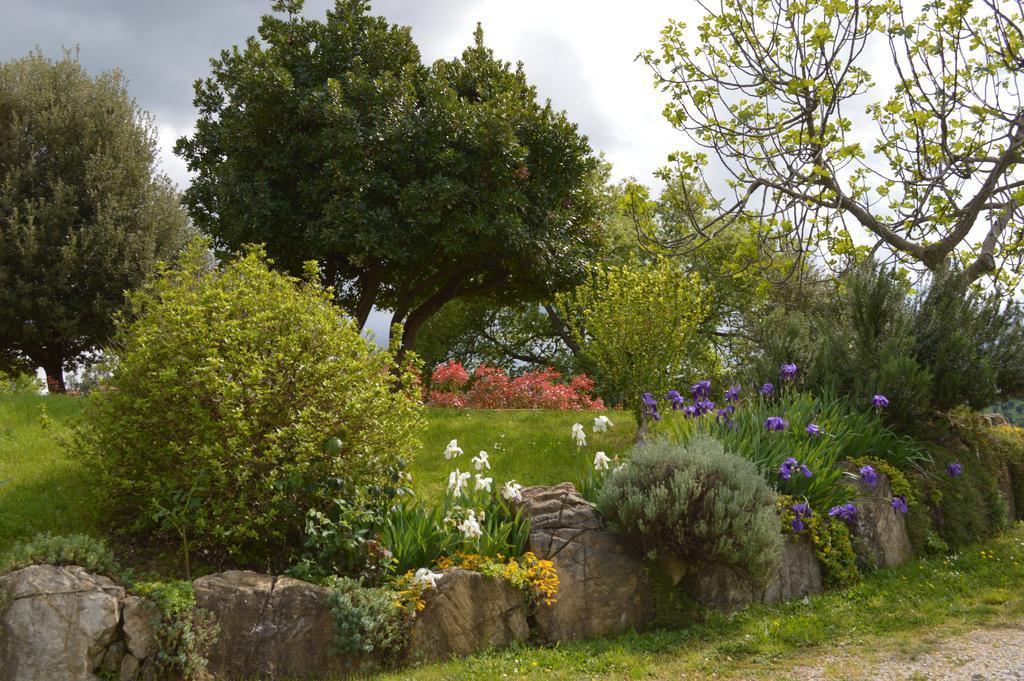 Bellavista Βίλα Seggiano Εξωτερικό φωτογραφία